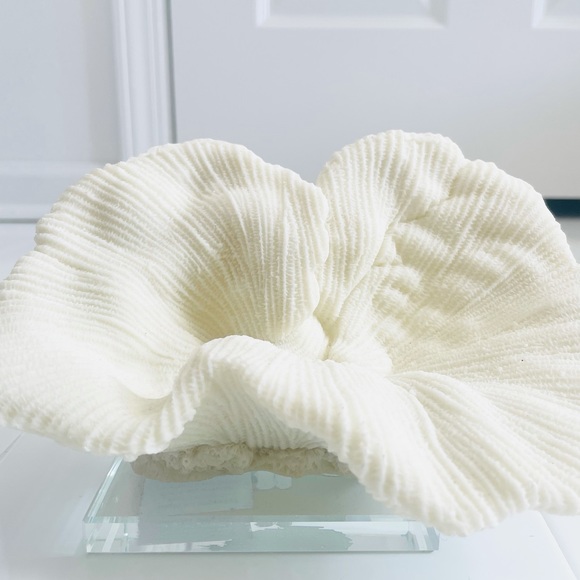 SOLD - Picture 1 of 3